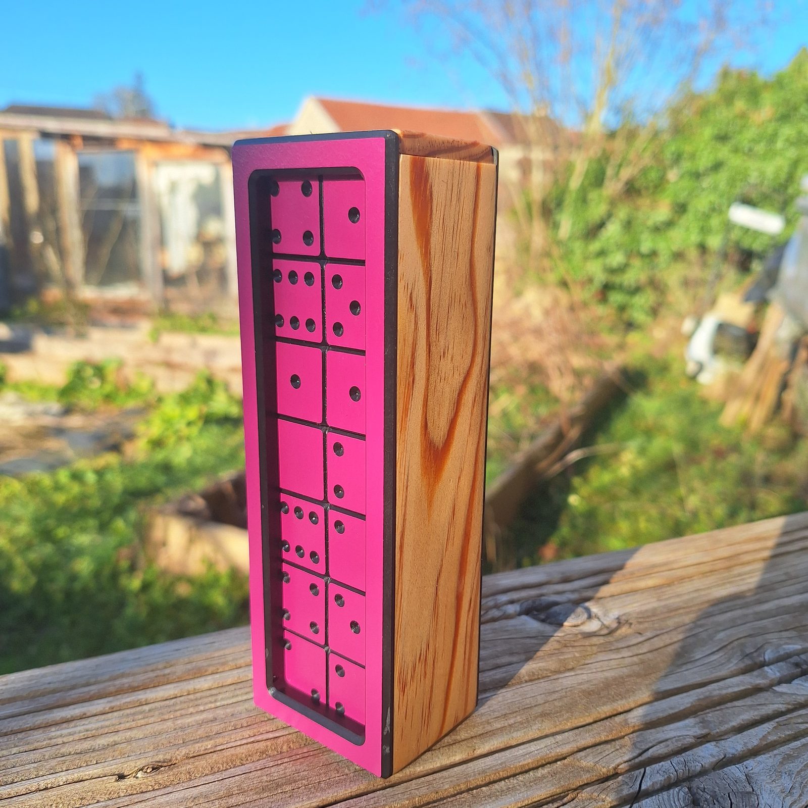 Dominos — vue 1